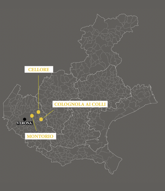 Territorio Azienda Agricola Luigi Ruffo